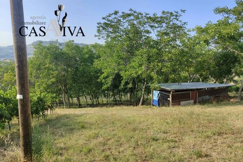 Landejendom i Ripatransone, Ascoli Piceno, Ripatransone - € 200.000 | Ref: CV9466 - foto 19