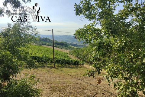 Landejendom i Ripatransone, Ascoli Piceno, Ripatransone - € 200.000 | Ref: CV9466 - foto 23