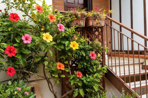 Leilighet i Salerno, Salerno, Salerno - € 295 000 | Ref: 414 - foto 4