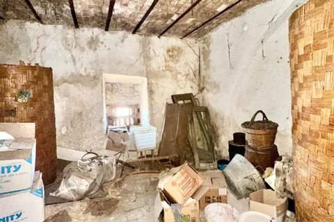 Villa a Giuliana, Palermo, Giuliana - € 6.000 | Ref: 8682RV21726 - foto 9