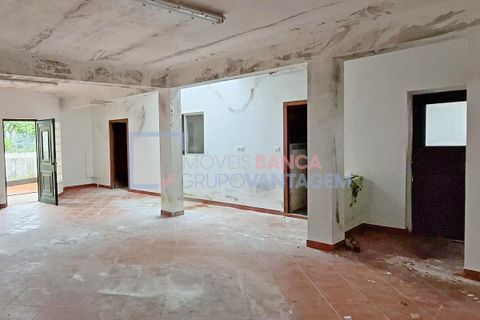 Villa a Anadia, Aveiro, Anadia - € 210.000 | Ref: M-30634 - foto 3