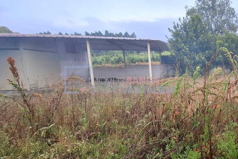 Villa a Anadia, Aveiro, Anadia - € 210.000 | Ref: M-30634 - foto 8