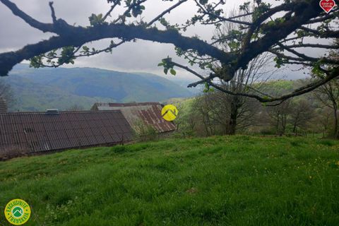 Farm hus i Peyrusse, Cantal, Peyrusse - € 37.500 | Ref: 96CAL111580 - foto 3