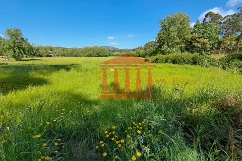 Helårsgrund i Barcelos, Braga, Barcelos - € 80.000 | Ref: 272T001088 - foto 2