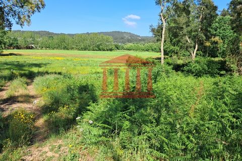 Helårsgrund i Barcelos, Braga, Barcelos - € 80.000 | Ref: 272T001088 - foto 4