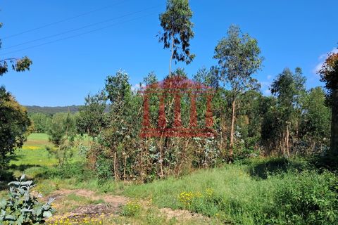 Helårsgrund i Barcelos, Braga, Barcelos - € 80.000 | Ref: 272T001088 - foto 5