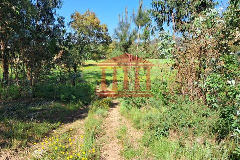 Helårsgrund i Barcelos, Braga, Barcelos - € 80.000 | Ref: 272T001088 - foto 6