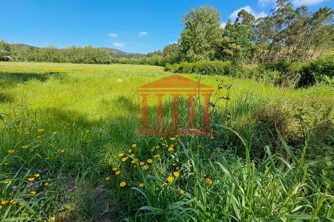 Helårsgrund i Barcelos, Braga, Barcelos - € 80.000 | Ref: 272T001088 - foto 7
