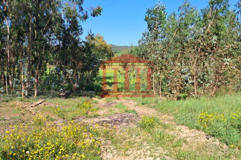 Helårsgrund i Barcelos, Braga, Barcelos - € 80.000 | Ref: 272T001088 - foto 8
