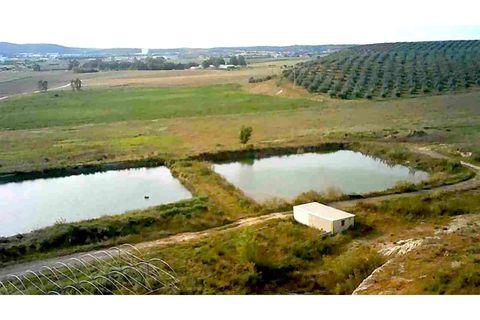 Masia a Elvas, Portalegre, Elvas - € 1.300.000 | Ref: 1992026 - foto 7