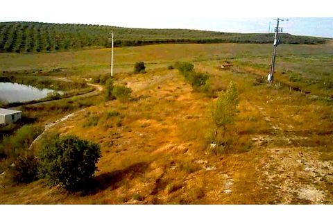 Masia a Elvas, Portalegre, Elvas - € 1.300.000 | Ref: 1992026 - foto 19
