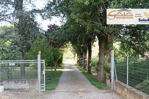 Villa a Lendinara, Rovigo, Lendinara - € 180.000 | Ref: 2204 - foto 2