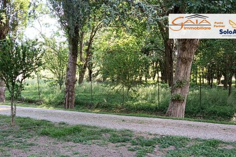 Villa a Lendinara, Rovigo, Lendinara - € 180.000 | Ref: 2204 - foto 30