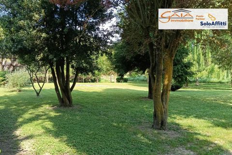 Villa a Lendinara, Rovigo, Lendinara - € 180.000 | Ref: 2204 - foto 32