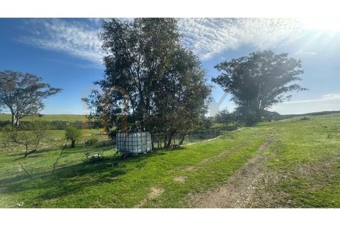 Terra a Castro Verde, Beja, Castro Verde - € 15.000 | Ref: BYS-1134 - foto 4