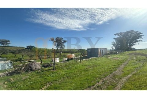 Terra a Castro Verde, Beja, Castro Verde - € 15.000 | Ref: BYS-1134 - foto 5