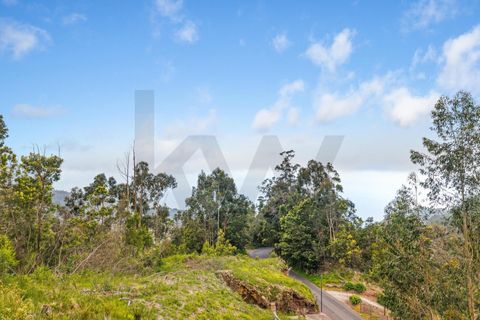 Helårsgrund i Ribeira Brava, Madeira, Ribeira Brava - € 75.000 | Ref: KWPT-030642 - foto 6