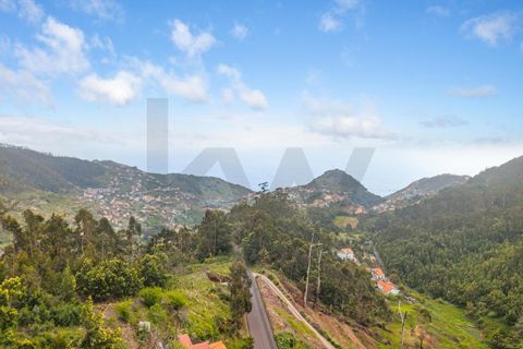 Helårsgrund i Ribeira Brava, Madeira, Ribeira Brava - € 75.000 | Ref: KWPT-030642 - foto 7