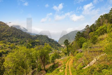 Helårsgrund i Sao Vincente, Madeira, Sao Vincente - € 175.000 | Ref: KWPT-031832 - foto 5