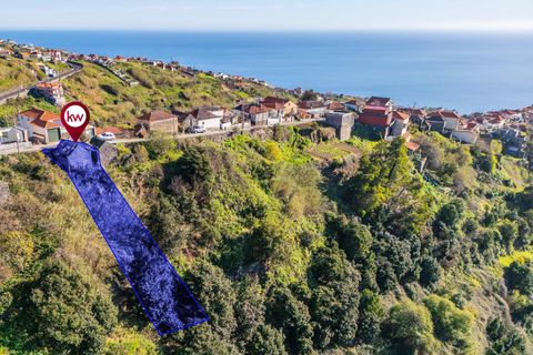 Helårsgrund i Calheta, Madeira, Calheta - € 130.000 | Ref: KWPT-031213 - foto 4