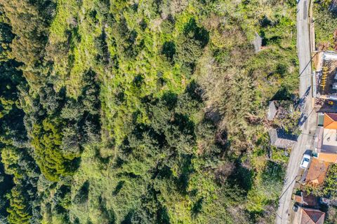 Helårsgrund i Calheta, Madeira, Calheta - € 130.000 | Ref: KWPT-031213 - foto 5