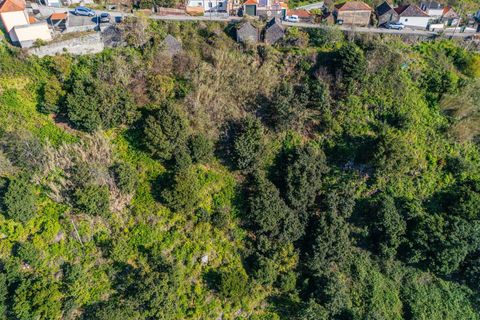 Helårsgrund i Calheta, Madeira, Calheta - € 130.000 | Ref: KWPT-031213 - foto 8