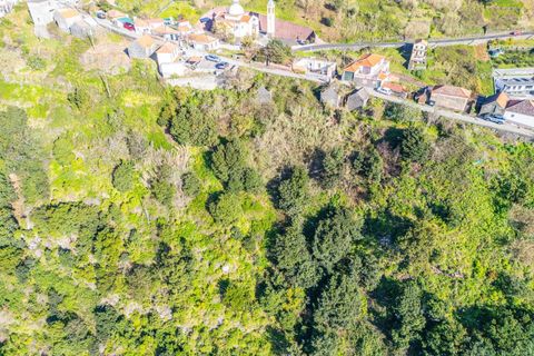 Helårsgrund i Calheta, Madeira, Calheta - € 130.000 | Ref: KWPT-031213 - foto 11