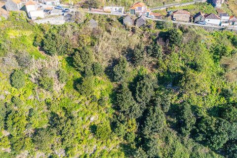 Helårsgrund i Calheta, Madeira, Calheta - € 130.000 | Ref: KWPT-031213 - foto 12