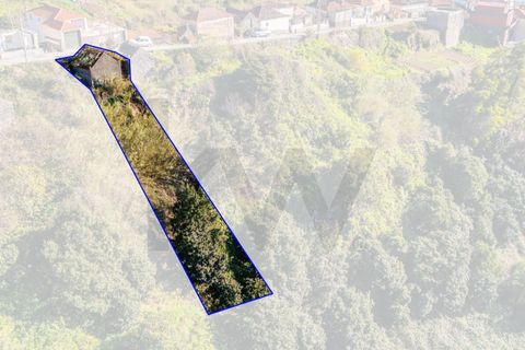 Helårsgrund i Calheta, Madeira, Calheta - € 130.000 | Ref: KWPT-031213 - foto 14