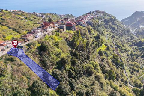 Helårsgrund i Calheta, Madeira, Calheta - € 130.000 | Ref: KWPT-031213 - foto 16