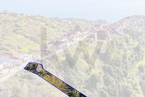 Helårsgrund i Calheta, Madeira, Calheta - € 130.000 | Ref: KWPT-031213 - foto 17
