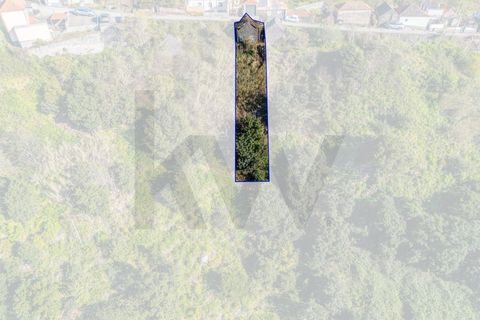 Helårsgrund i Calheta, Madeira, Calheta - € 130.000 | Ref: KWPT-031213 - foto 18