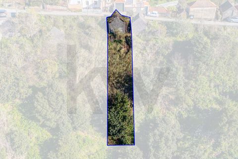 Helårsgrund i Calheta, Madeira, Calheta - € 130.000 | Ref: KWPT-031213 - foto 19
