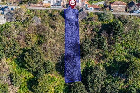 Helårsgrund i Calheta, Madeira, Calheta - € 130.000 | Ref: KWPT-031213 - foto 20