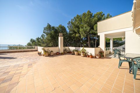 Penthouse i Calvia, Mallorca, Calvia - € 849.900 | Ref: 01IMJP3021/3010 - foto 1
