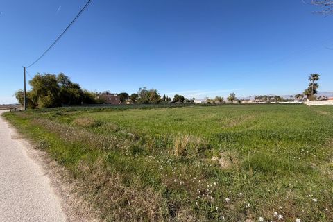 Terra a Catral, Alicante, Catral - € 99.900 | Ref: F139/3390 - foto 3