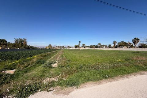 Terra a Catral, Alicante, Catral - € 99.900 | Ref: F139/3390 - foto 4