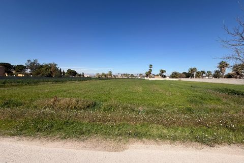 Terra a Catral, Alicante, Catral - € 99.900 | Ref: F139/3390 - foto 5