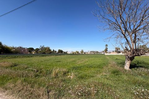 Terra a Catral, Alicante, Catral - € 99.900 | Ref: F139/3390 - foto 6