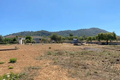 Finca i Inca, Mallorca, Inca - € 739.000 | Ref: A8106 - foto 11