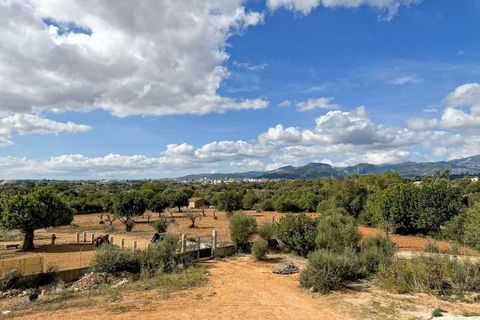 Finca i Inca, Mallorca, Inca - € 739.000 | Ref: A8106 - foto 12