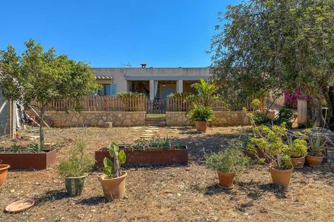 Finca i Inca, Mallorca, Inca - € 739.000 | Ref: A8106 - foto 31