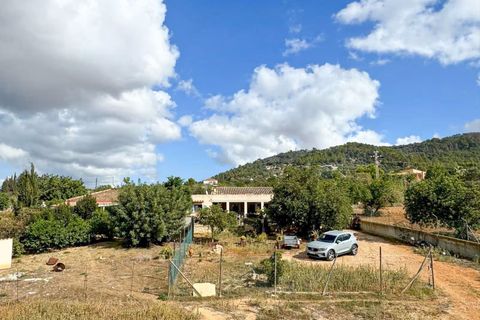 Finca i Inca, Mallorca, Inca - € 739.000 | Ref: A8106 - foto 33