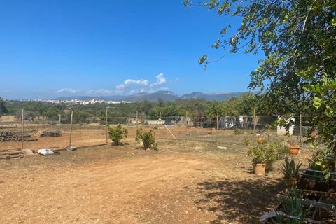 Finca i Inca, Mallorca, Inca - € 739.000 | Ref: A8106 - foto 34