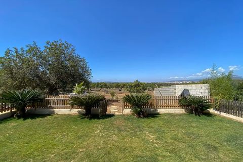 Finca i Inca, Mallorca, Inca - € 739.000 | Ref: A8106 - foto 36