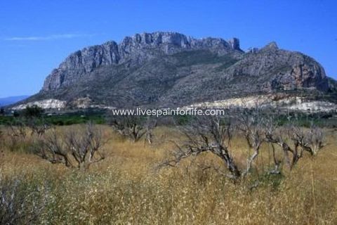 Leilighet i El Verger, Alicante, El Verger - € 341 000 | Ref: 82392 - foto 20