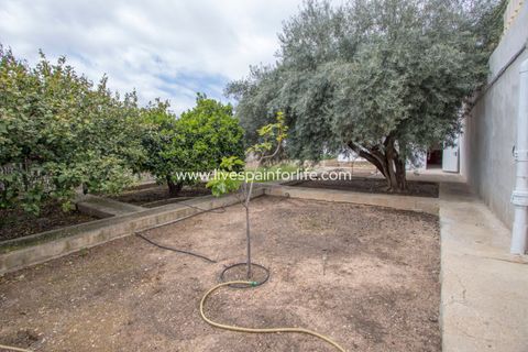 Landejendom i Albatera, Alicante, Albatera - € 320.000 | Ref: ALBA MBM-D - foto 42