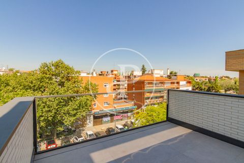 Àtic a Madrid, Madrid, Madrid - € 2.000/mes | Ref: AMN2604008 - foto 15