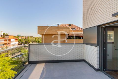 Àtic a Madrid, Madrid, Madrid - € 2.000/mes | Ref: AMN2604008 - foto 24
