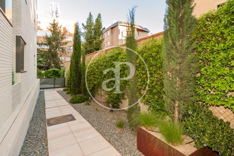 Àtic a Madrid, Madrid, Madrid - € 2.000/mes | Ref: AMN2604008 - foto 30